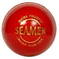 SG Seamer Cricket Ball